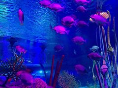 -沈阳海洋探索中心