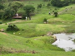 -大姆山草场