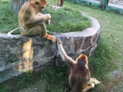 -西安秦岭野生动物园