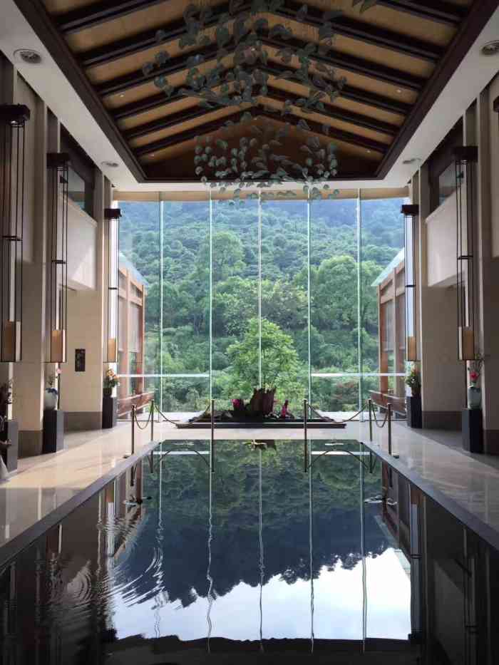 红珠山国际度假村禅意山居-"去的时候是上午,简直有种包场的感觉,云雾