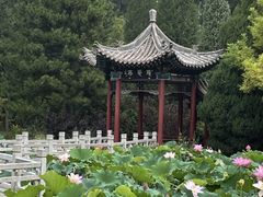 -晋祠公园