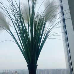 点击看大图 -久匠半永久纹眉