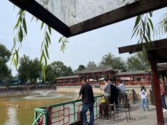 -尚庄度假村·庭台树下·户外烧烤·团建CS·轰趴营地(上庄水库店)