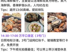 -日照灯塔风景区