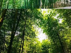 -藏龙百瀑风景区