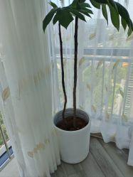 -HEYAN荷妍专业脱毛连锁机构