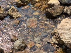 -楠溪江风景名胜区