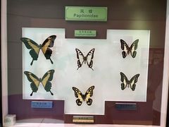 -上海昆虫博物馆