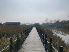 -盐城丹顶鹤湿地生态旅游区