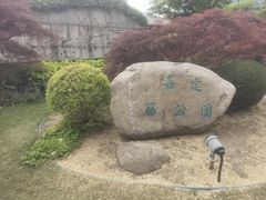 -嘉定紫藤园