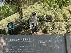 -十里琅珰