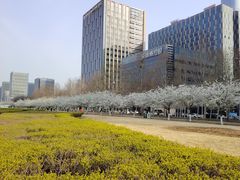 -泰丰公园