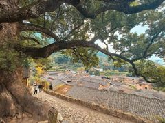 -杨家堂村