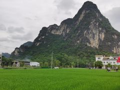 -明仕田园