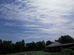 -西安浐灞国家湿地公园
