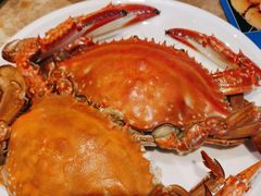 -老大连·海肠捞饭·大连海鲜大连菜(西安路店)