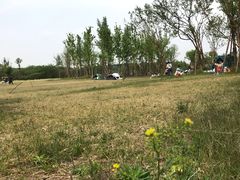 -白鹭湾湿地公园