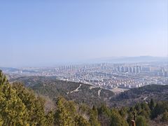 -府君山公园