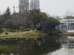 -月湖风景区