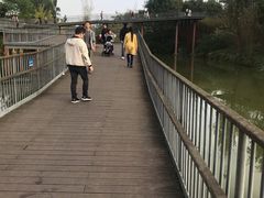 -白鹭湾湿地公园