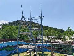 -西霞口神雕山野生动物世界