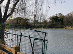 -新江湾城公园