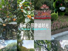 -绵阳人民公园(涪城区)