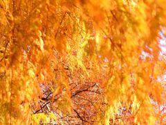 -华南国家植物园-售票处