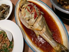 -波螺油子·海肠捞饭·青岛菜(银座店)