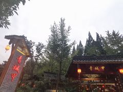 -青城甲(青城山店)