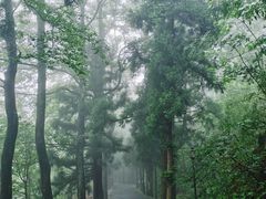 -南岳衡山风景名胜区