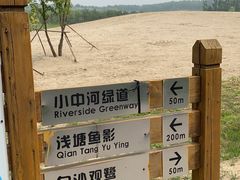 -东郊湿地公园