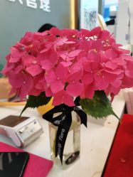 -菩羽·专业美胸·连锁养护中心