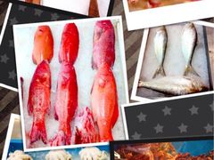 iphone_upload_pic-莆鑫海鲜城(浏河店)