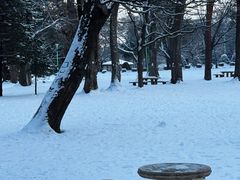 -北海道神宫