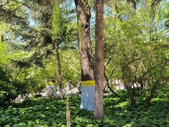 -哈尔滨极乐寺