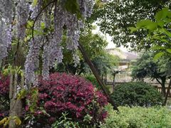 -府河摄影公园