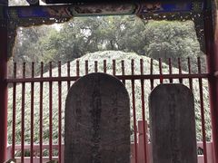 -武侯墓风景区