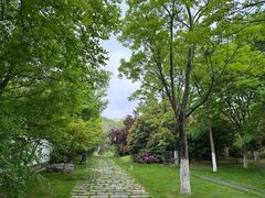 -武汉园博园(武汉自然博物馆)