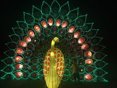 -南通洲际绿博园