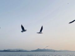 -深圳湾公园(南山区)