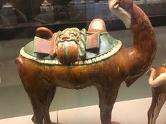 -西安大唐西市博物馆