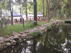 -成都市活水公园