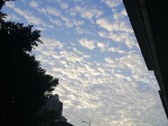 -蜀八婆鲍鱼鸡煲虾(宝安坪洲店)