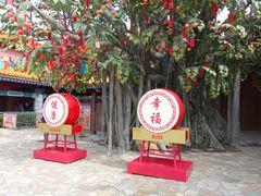 -天坛大佛