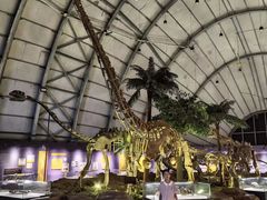 -辽宁古生物博物馆