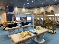 -奈尔宝家庭中心·亲子餐厅(鄞州万达店)