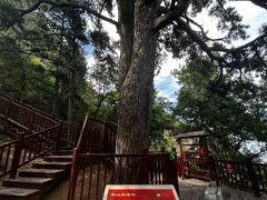 -终南山南五台景区