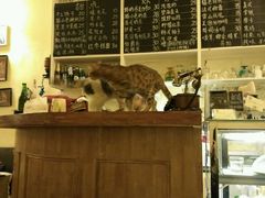 android_upload_pic-猫色咖啡·猫咖