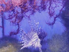 -多彩贵州城极地海洋世界